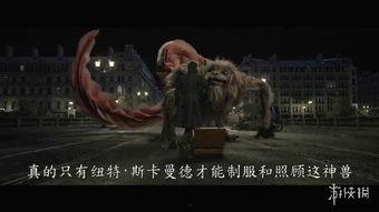 驺吾视频爆料在线观看,揭秘热门事件幕后真相